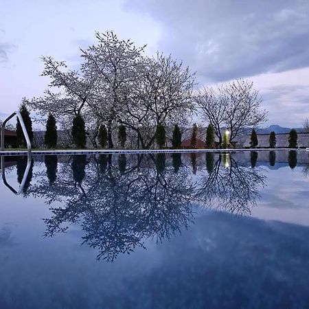 Soare-N Maramures Budeşti Exteriör bild